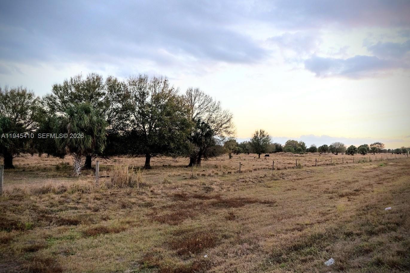2549 W State Road 80, LaBelle, FL 33935 photo 5