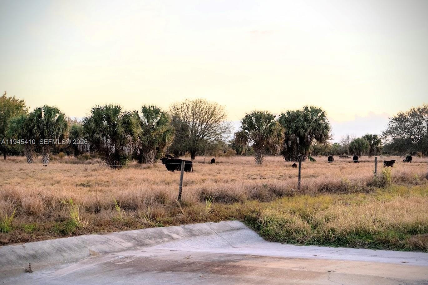 2549 W State Road 80, LaBelle, FL 33935 photo 8
