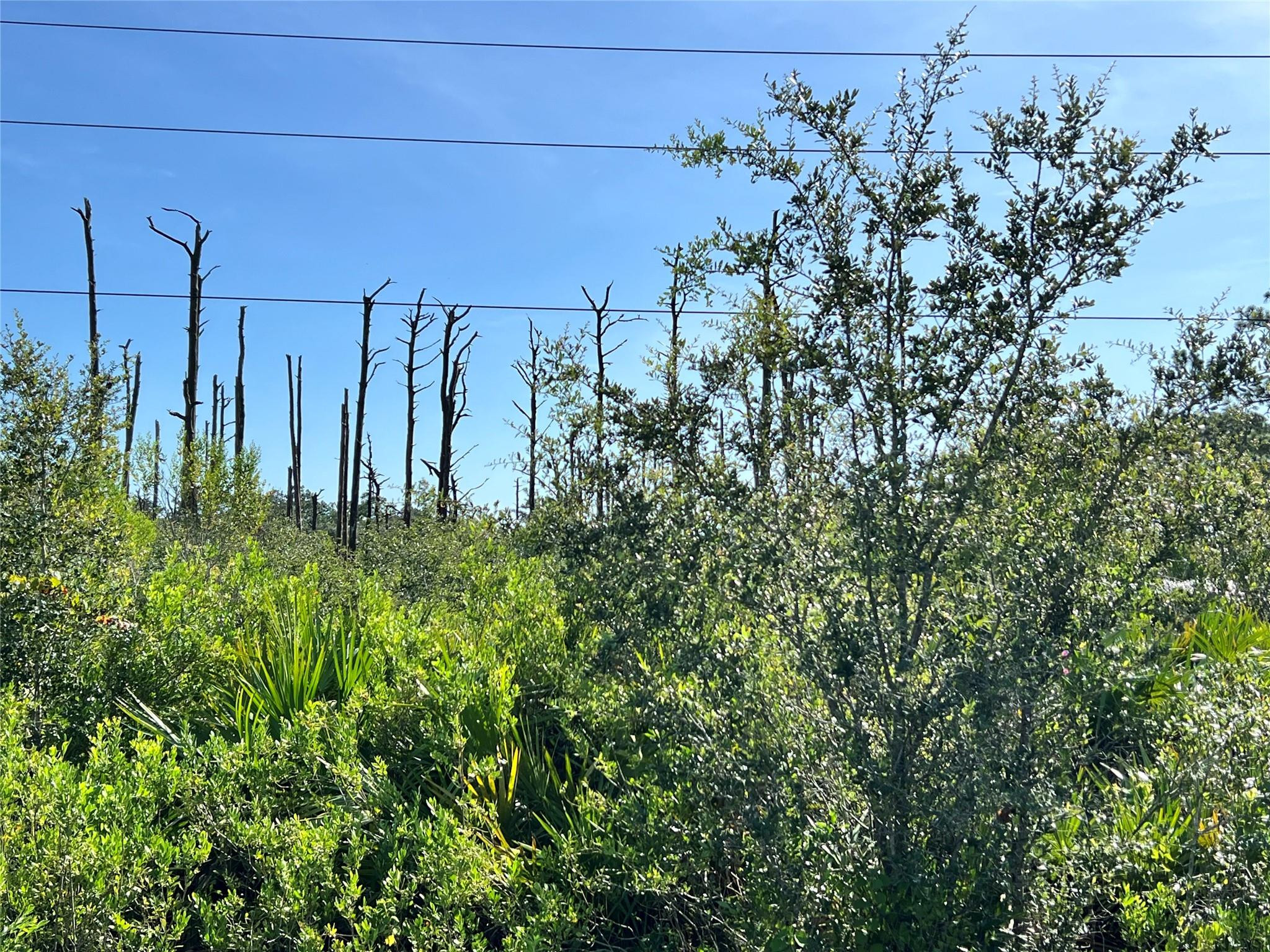 34964 N Hwy 441, Okeechobee, FL 34972, Okeechobee
