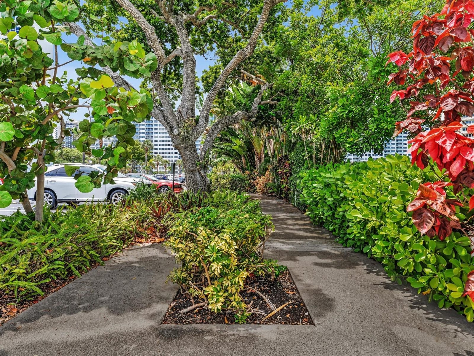 3300 NE 36th Street 312a, Fort Lauderdale, FL 33308 photo 24