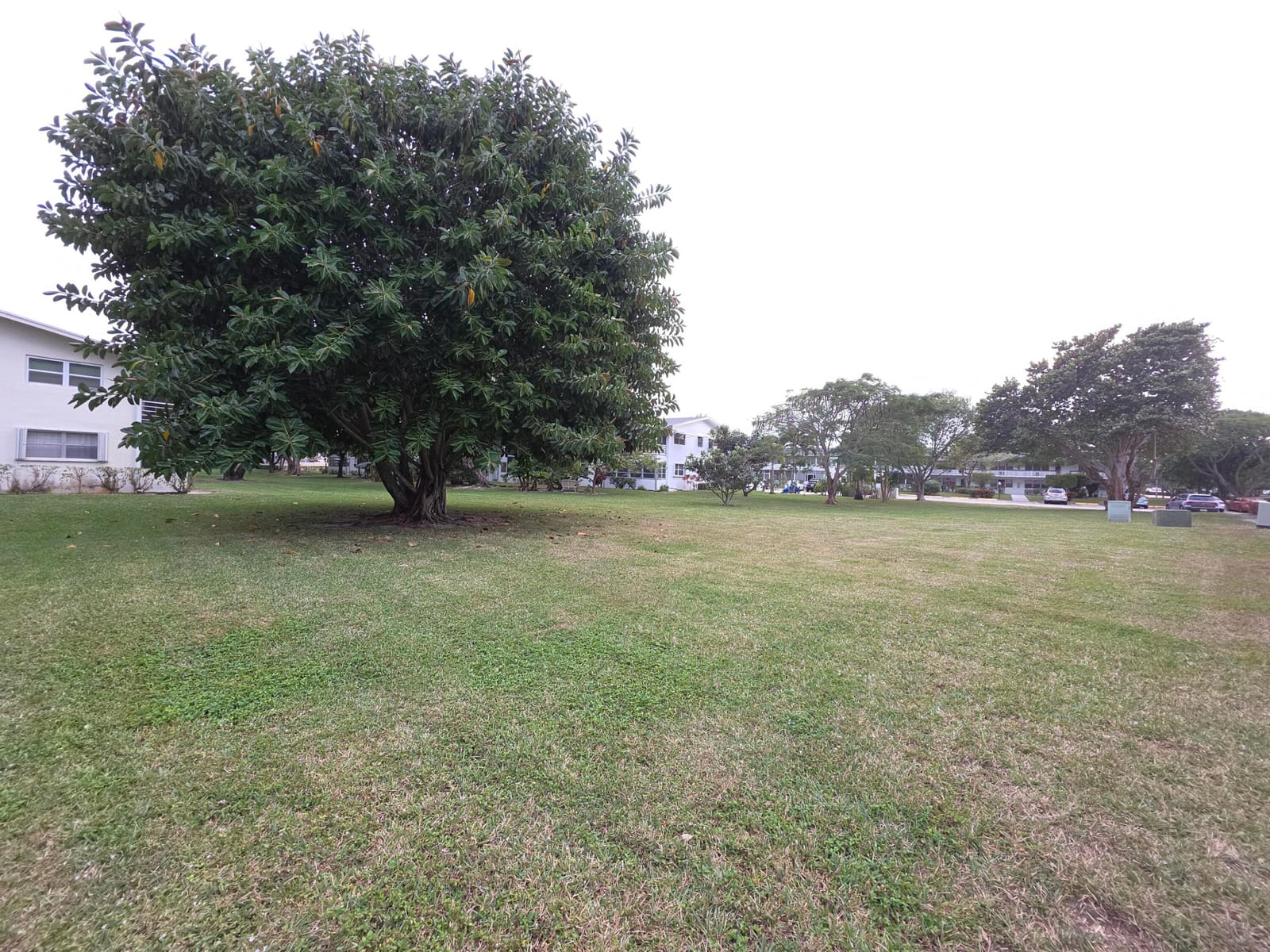 204 Kent L L, West Palm Beach, FL 33417 photo 29