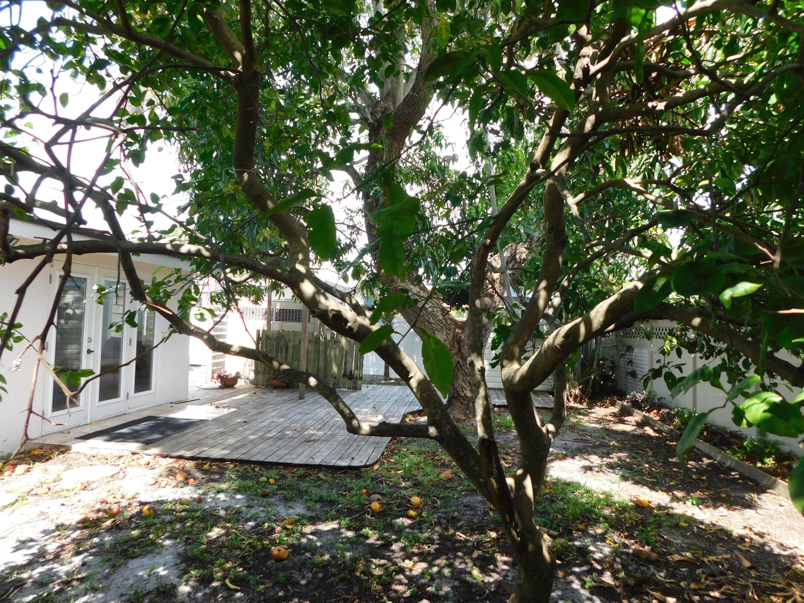 2580 SE 5th Court — photo 7