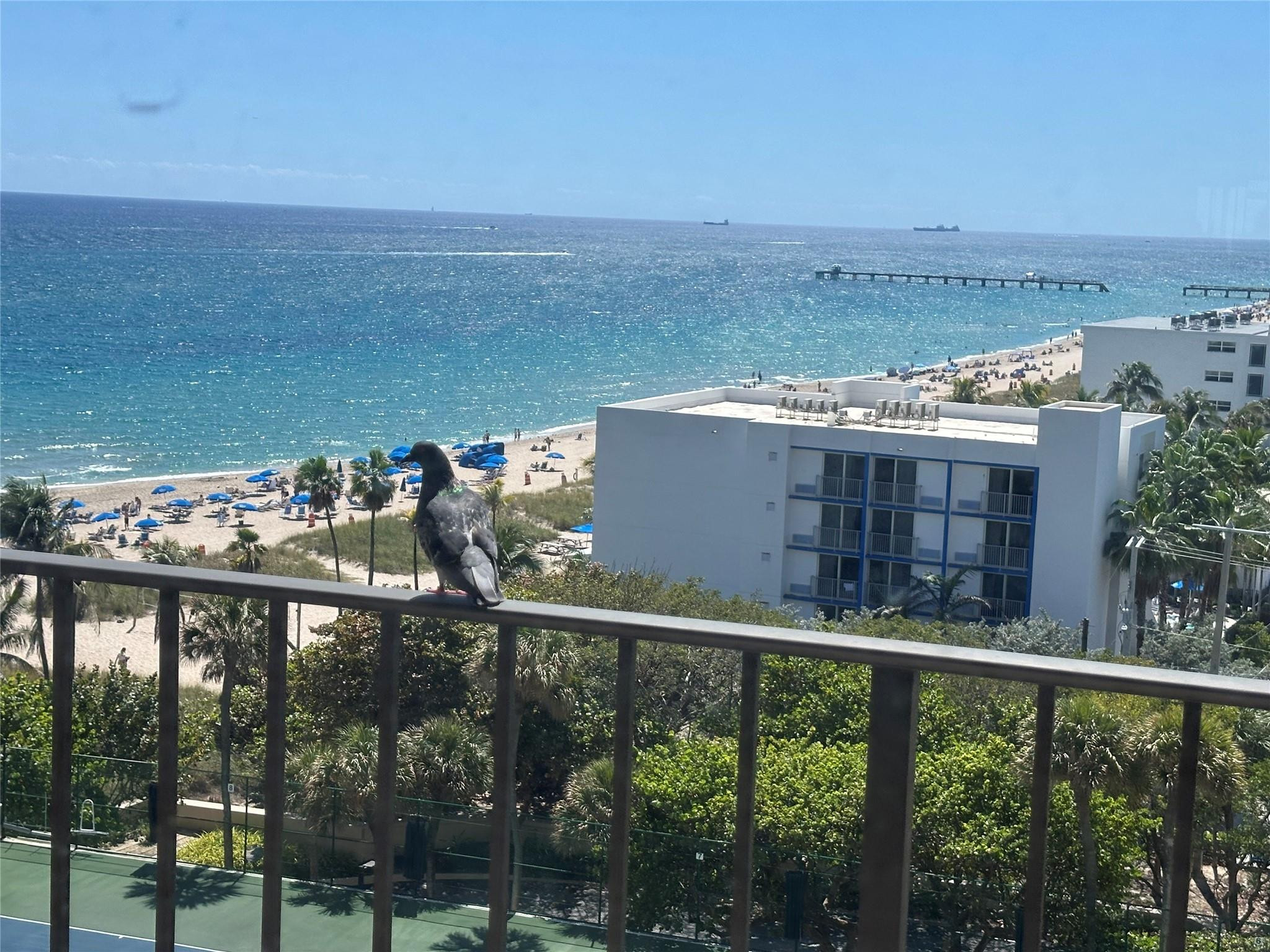 4900 N Ocean Boulevard 1003, Lauderdale-By-The-Sea, FL 33308, Lauderdale By The Sea