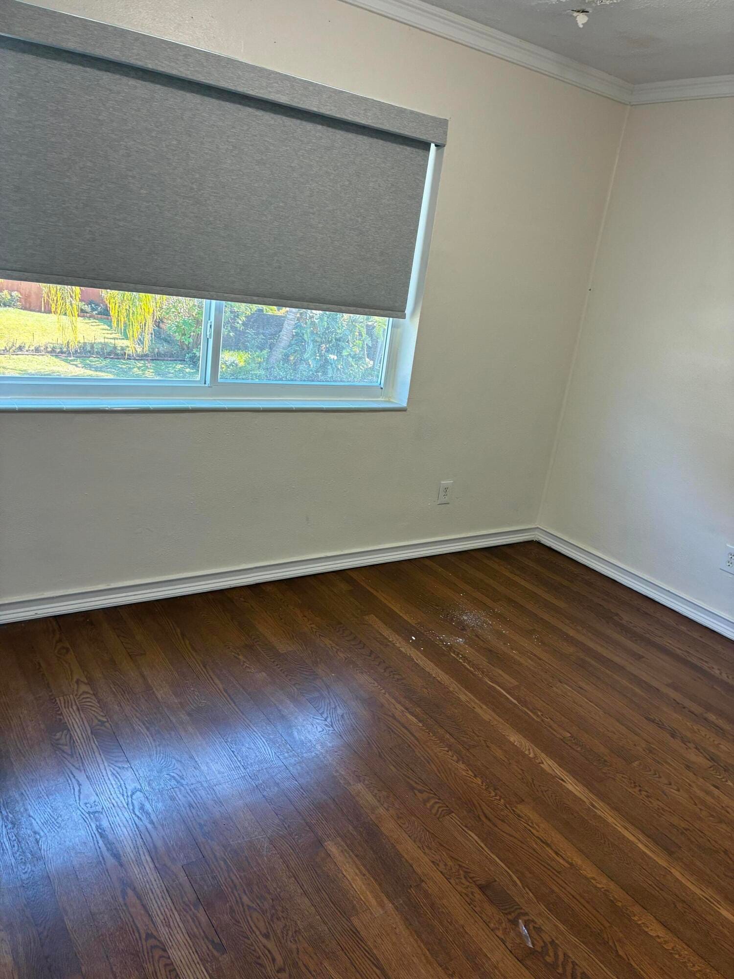 813 SE 10th Terrace Terrace, Deerfield Beach, FL 33441 photo 22