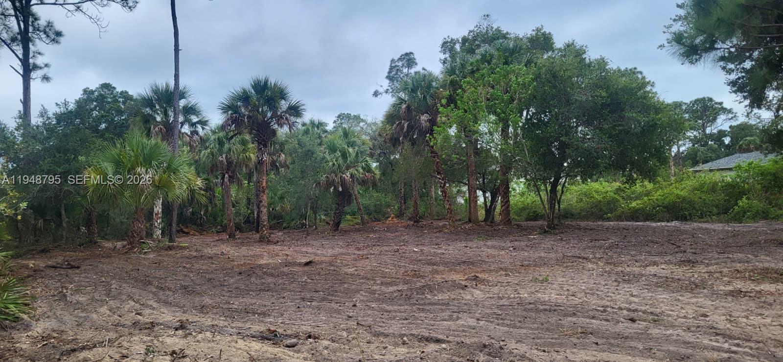 315 Ivanhoe Avenue, LaBelle, FL 33935, Labelle