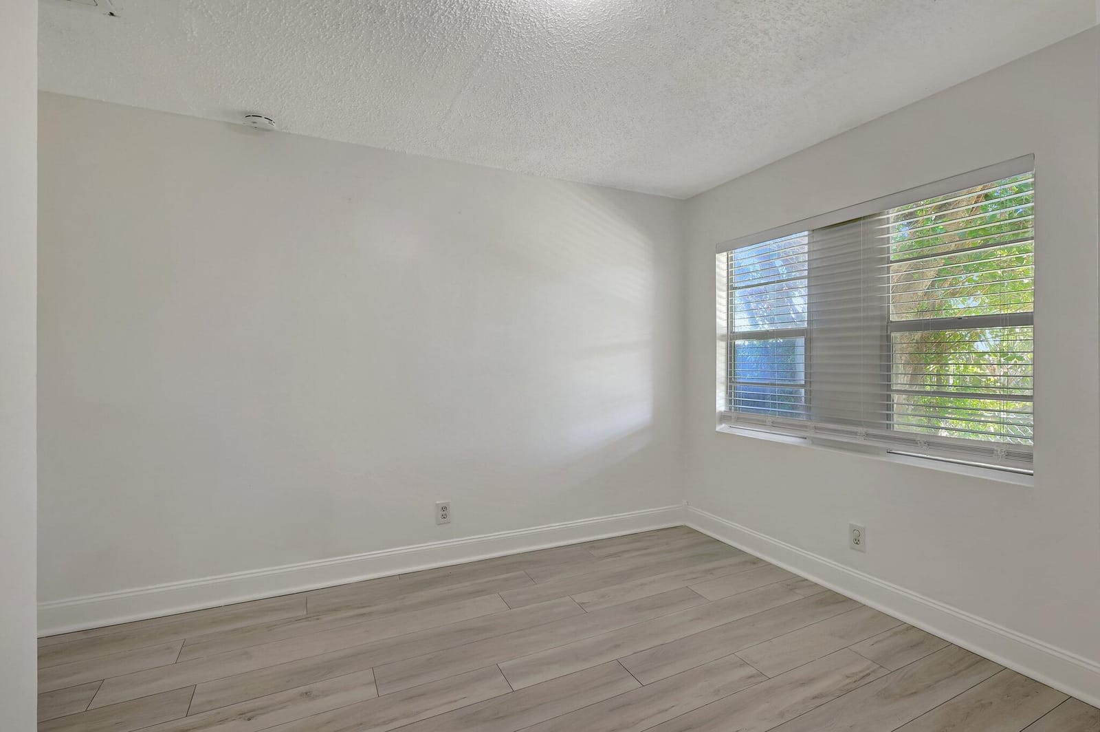 1226 N C Street, Lake Worth Beach, FL 33460 photo 19