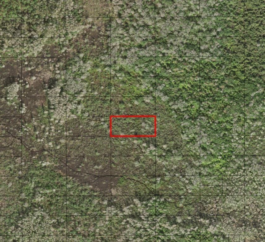 0 Holopaw Groves Road — photo 2