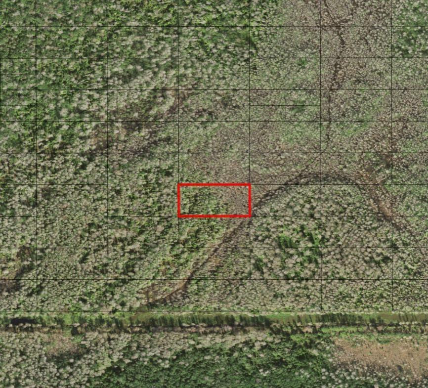 0 Holopaw Groves Road, St. Cloud, FL 34772, St Cloud