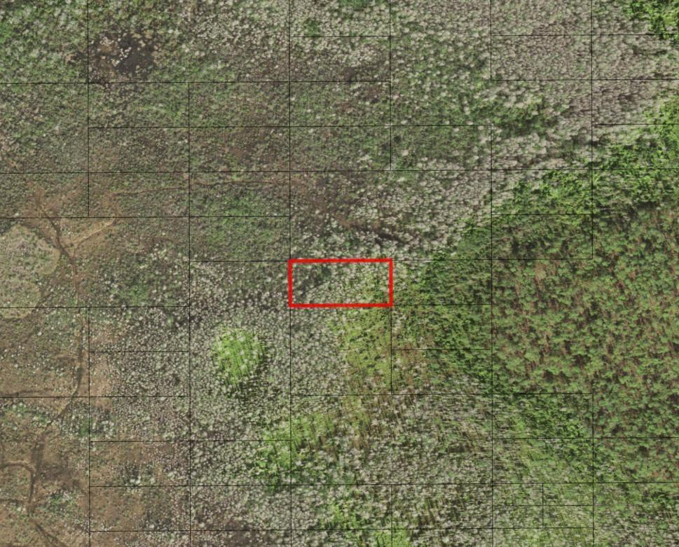 0 Holopaw Groves Road, St. Cloud, FL 34772, St Cloud