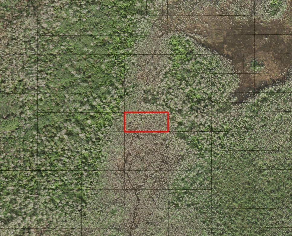 0 Holopaw Groves Road, St. Cloud, FL 34772, St Cloud