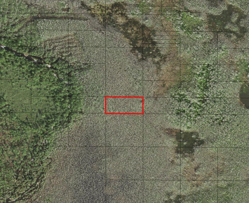 0 Holopaw Groves Road, St. Cloud, FL 34772, St Cloud
