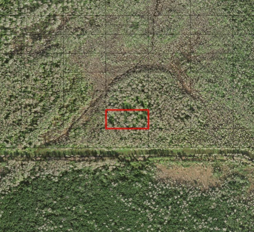 0 Holopaw Groves Road, St. Cloud, FL 34772, St Cloud