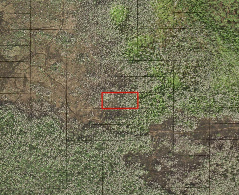 0 Holopaw Groves Road, St. Cloud, FL 34772, St Cloud