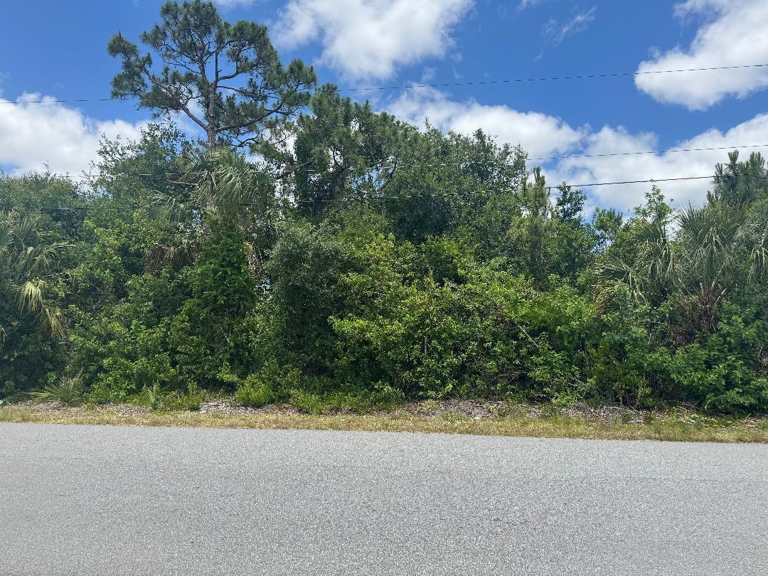 1437 Tidewell Street SE, Palm Bay, FL 32909, Palm Bay