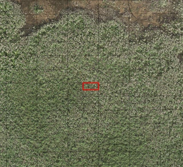 0 Holopaw Groves Road, St. Cloud, FL 34772