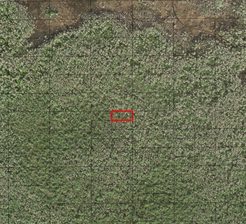 0 Holopaw Groves Road, St. Cloud, FL 34772, St Cloud