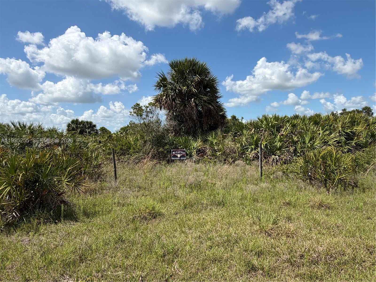 72 NW Ave, Okeechobee, FL 34972 photo 3