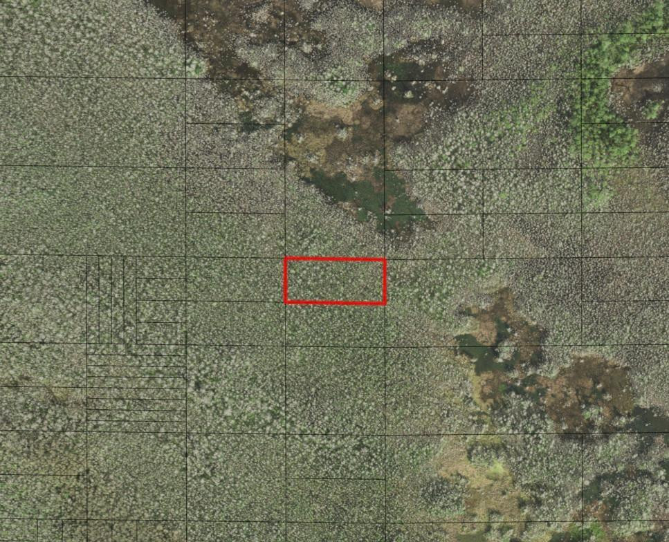 0 Holopaw Groves Road, St. Cloud, FL 34772, St Cloud
