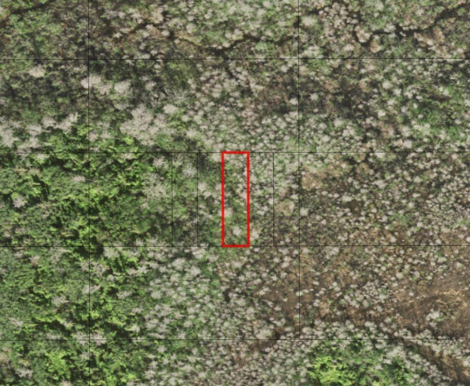 0 Holopaw Groves Road, St. Cloud, FL 34772, St Cloud