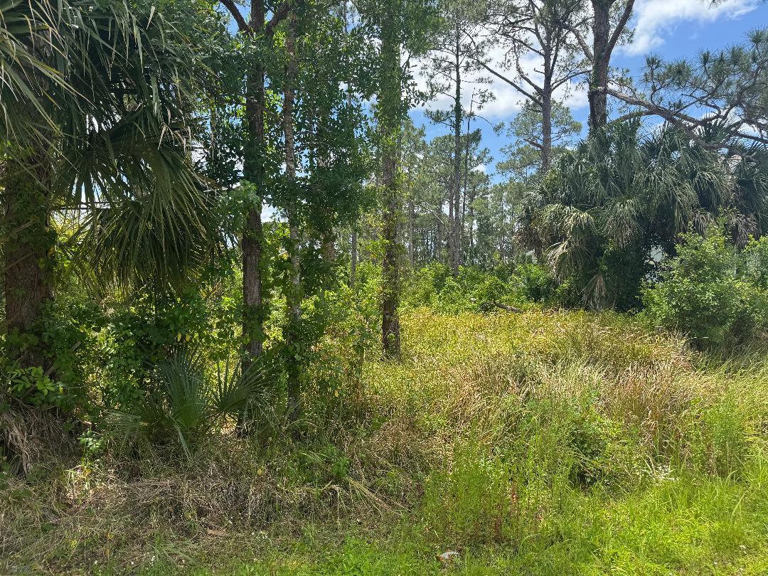 1458 Transcoro Street SE, Palm Bay, FL 32909, Palm Bay