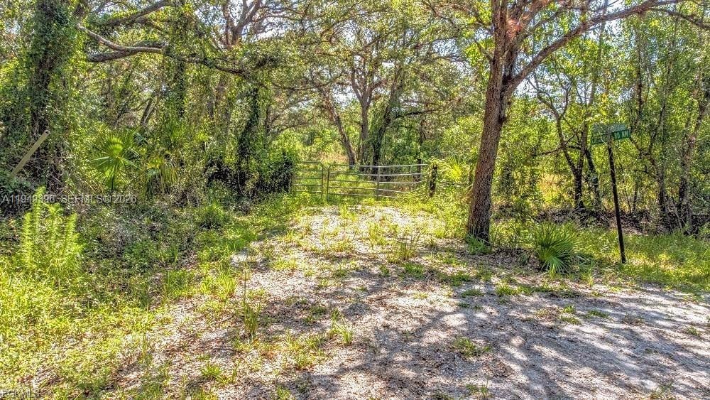 1 Catamount Road, FL 33935 photo 10