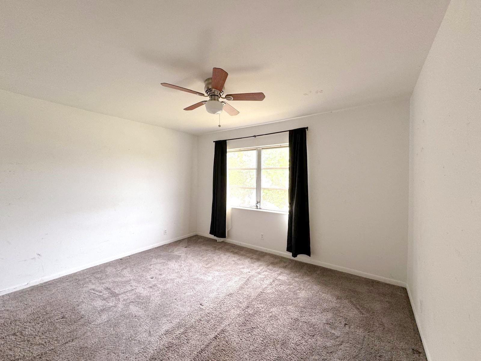 12 NE 19th Court 204A — photo 11
