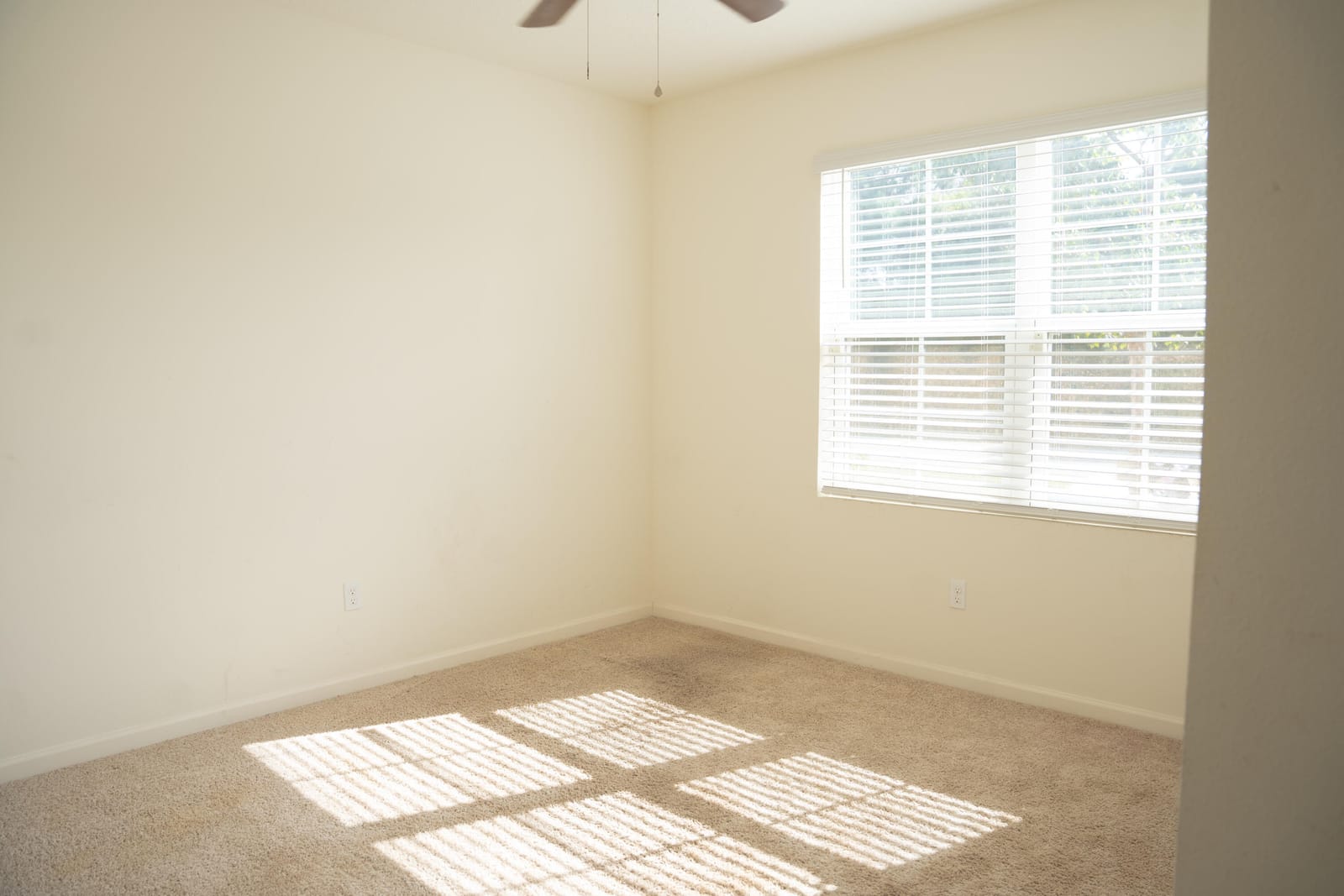 789 SW Tulip Boulevard — photo 8