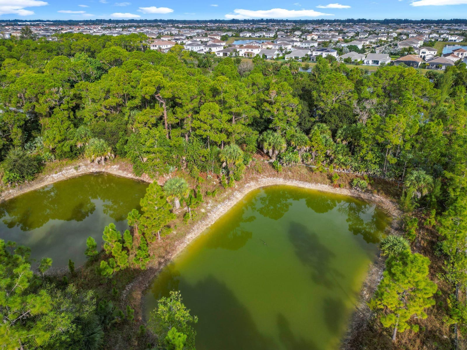 15595 43rd Road N, Loxahatchee Groves, FL 33470 photo 6