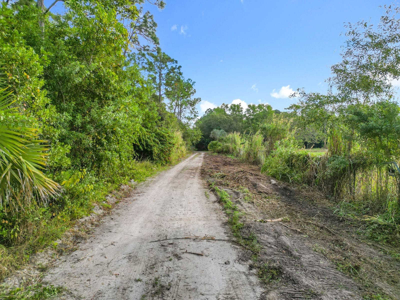 15595 43rd Road N, Loxahatchee Groves, FL 33470 photo 8
