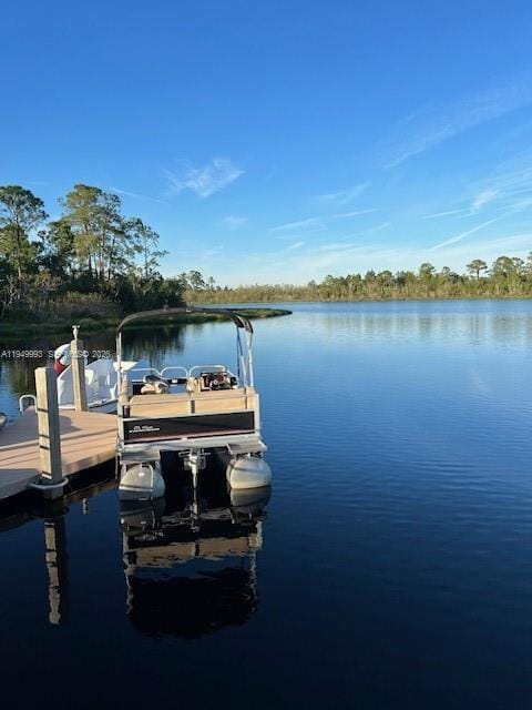 14501 Grove Resort Avenue 3714, Winter Garden, FL 34787 photo 19