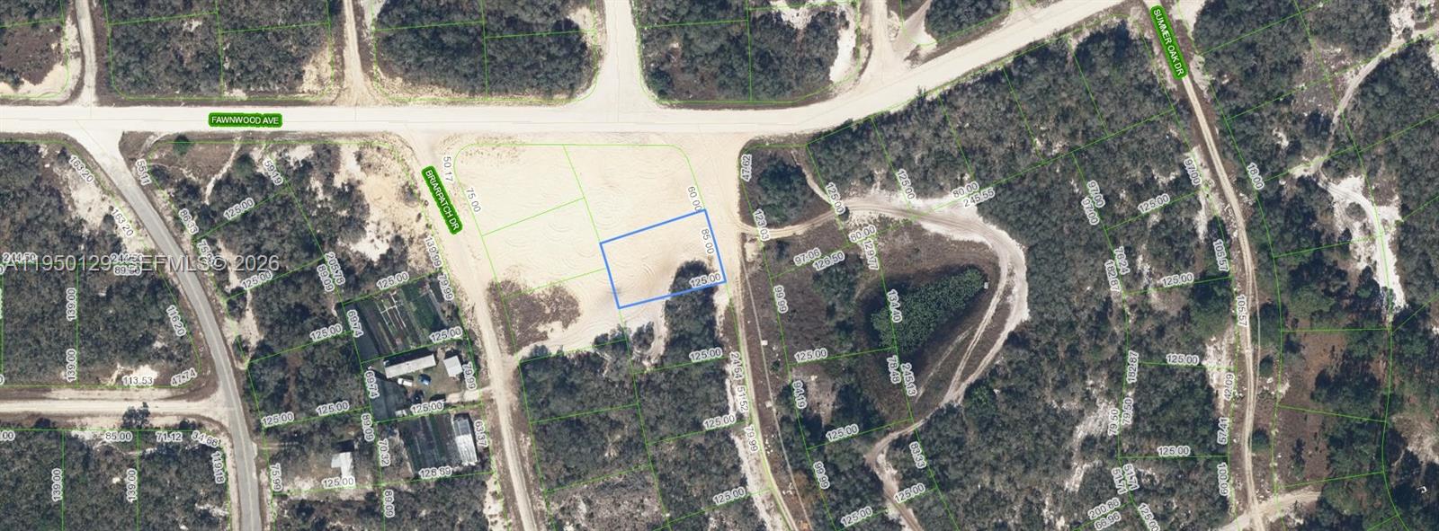 132 Joy Drive, Lake Placid, FL 33852, Lake Placid