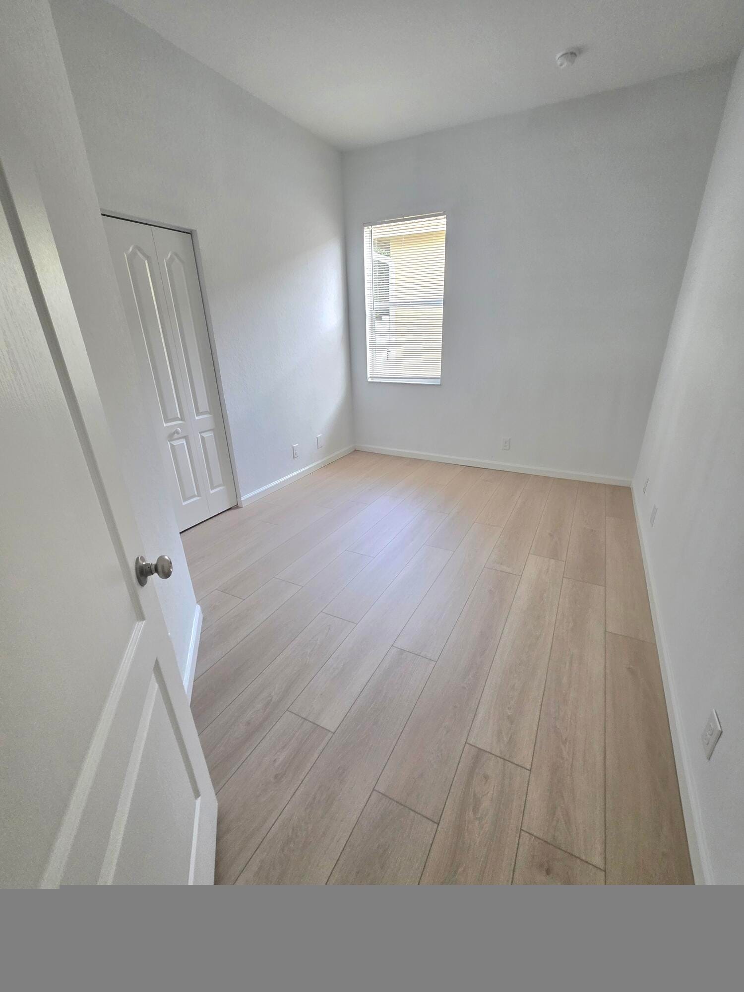 6204 Spring Lakes Terrace — photo 9