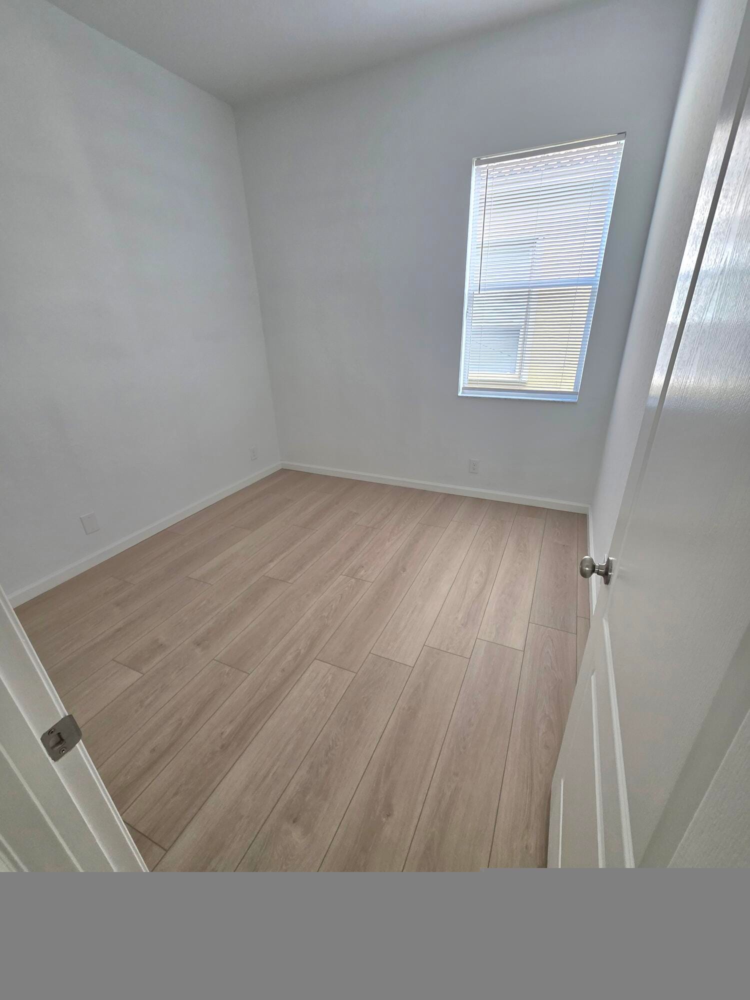 6204 Spring Lakes Terrace — photo 10