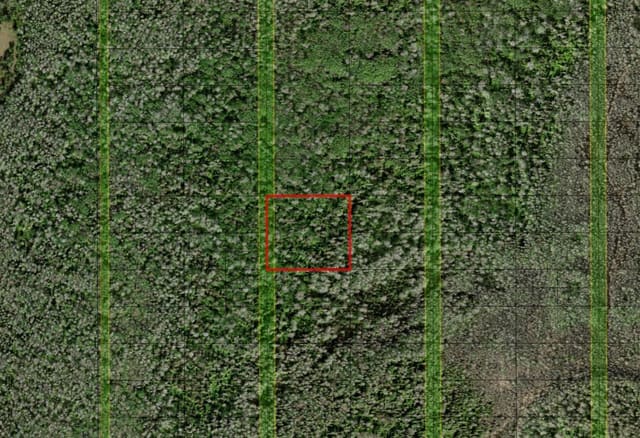 0 Holopaw Groves Road, St. Cloud, FL 34772
