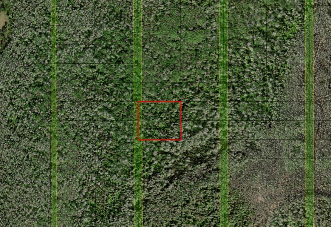 0 Holopaw Groves Road, St. Cloud, FL 34772, St Cloud