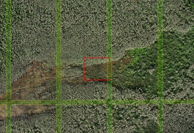 0 Holopaw Groves Road, St. Cloud, FL 34772