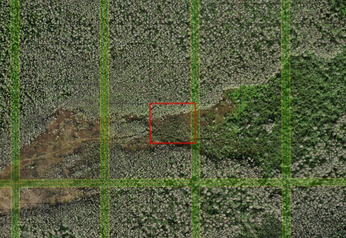 0 Holopaw Groves Road, St. Cloud, FL 34772, St Cloud
