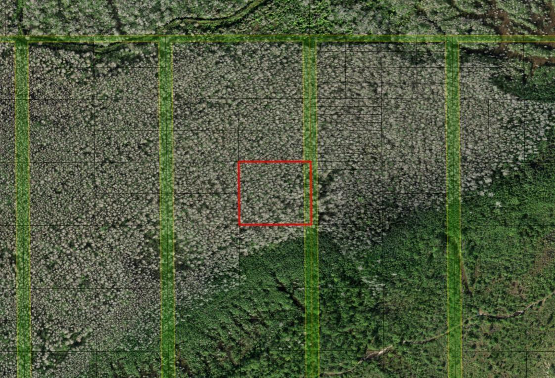 0 Holopaw Groves Road, St. Cloud, FL 34772, St Cloud