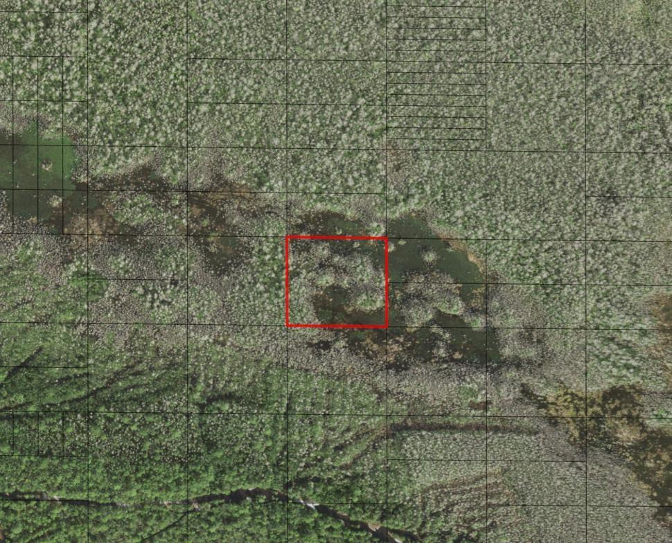 0 Holopaw Groves Road, St. Cloud, FL 34772, St Cloud