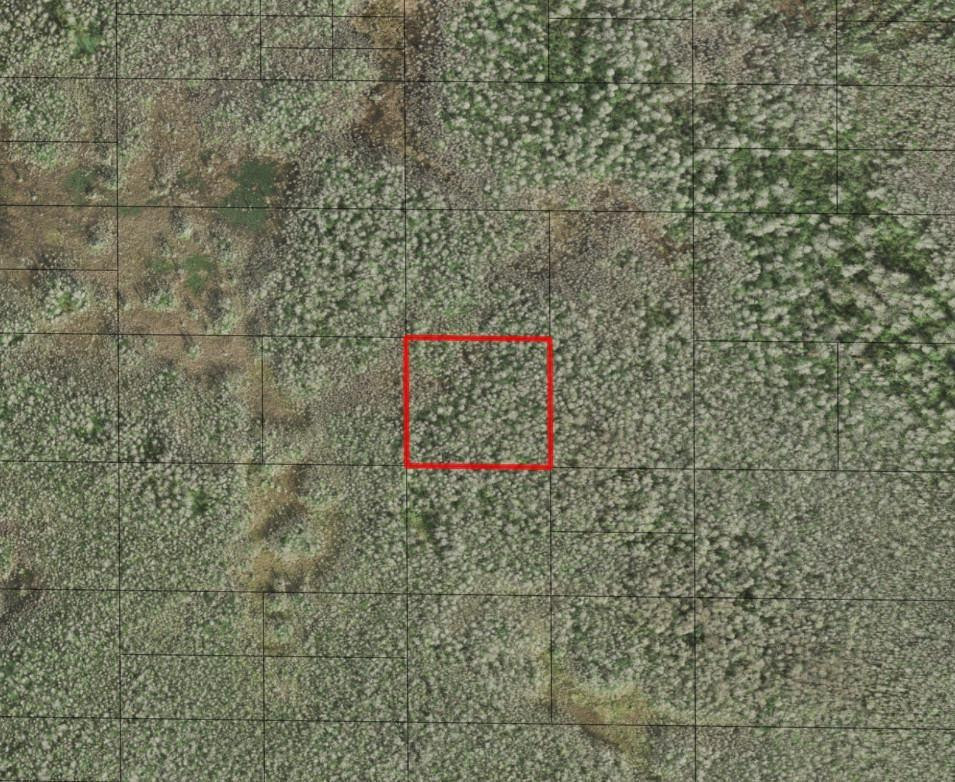 0 Holopaw Groves Road, St. Cloud, FL 34772, St Cloud