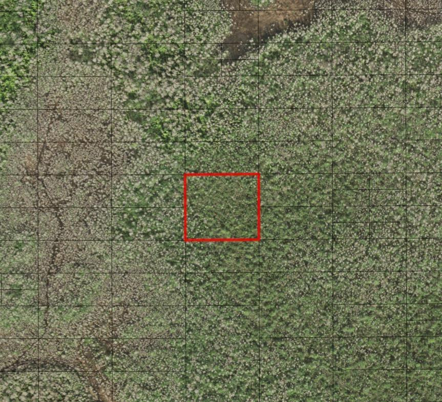 0 Holopaw Groves Road, St. Cloud, FL 34772, St Cloud