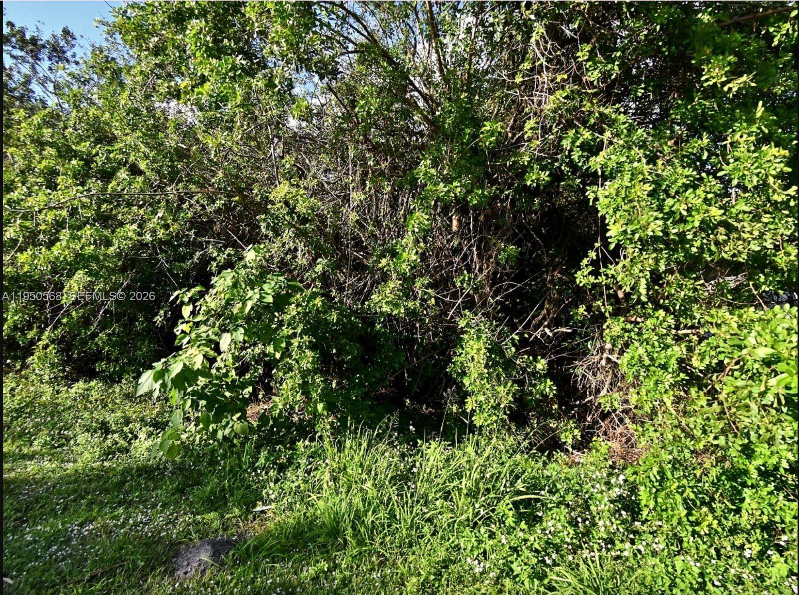 lot 6 Lot 6 San Diego Avenue, Fort Pierce, FL 34946, Fort Pierce