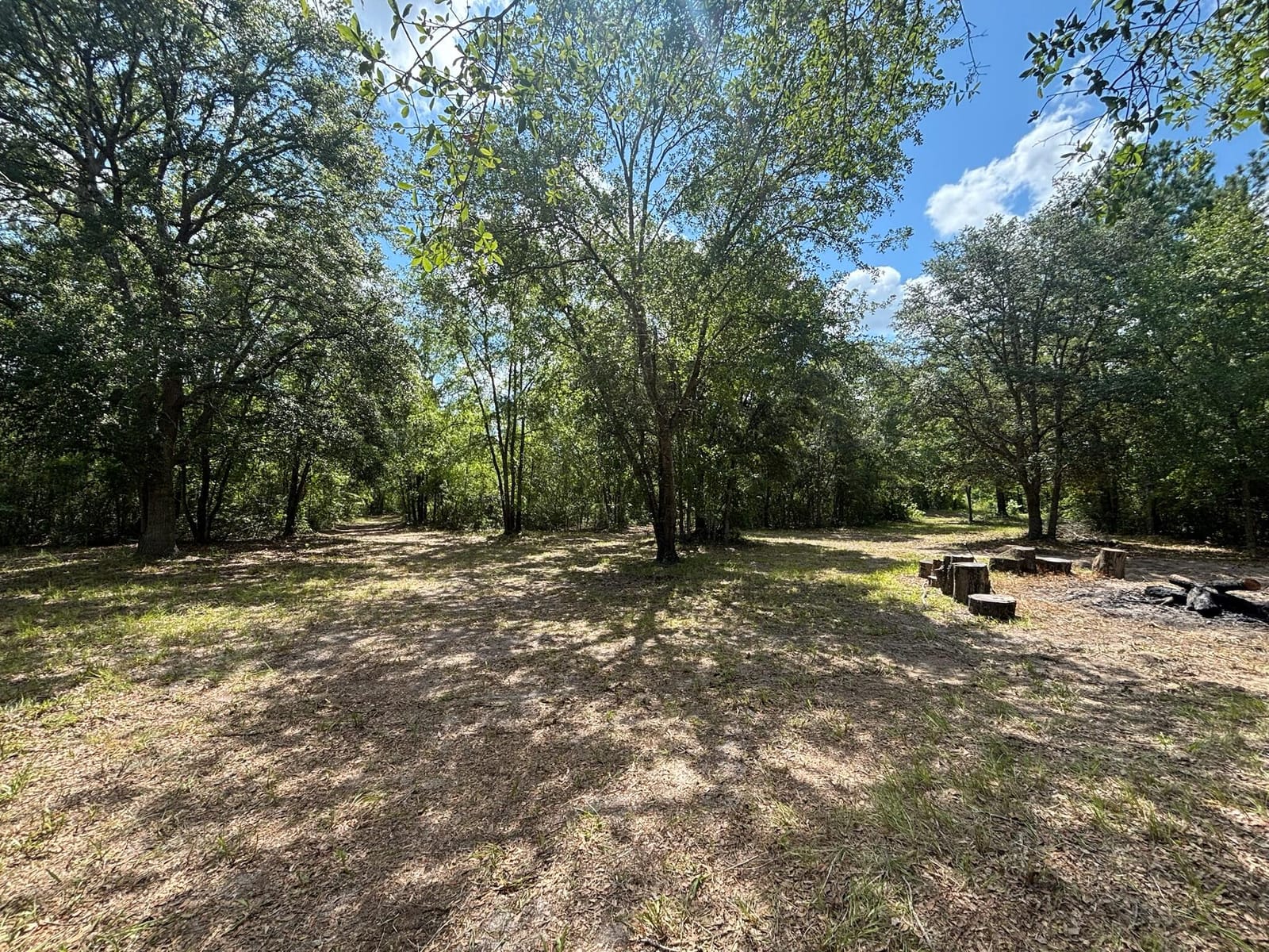 423 NW Bright Lake Court, White Springs, FL 32096 photo 19