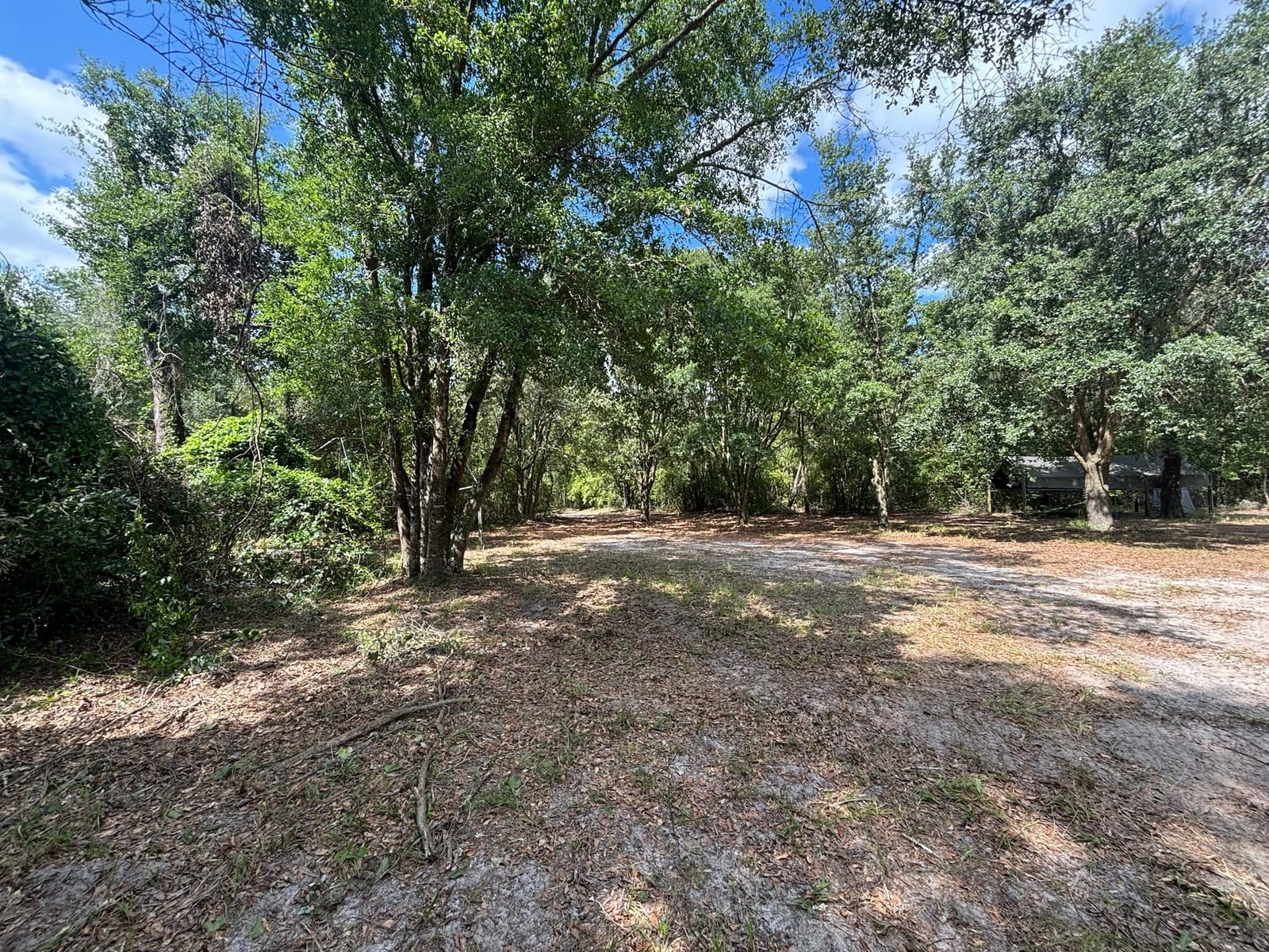 423 NW Bright Lake Court, White Springs, FL 32096 photo 20