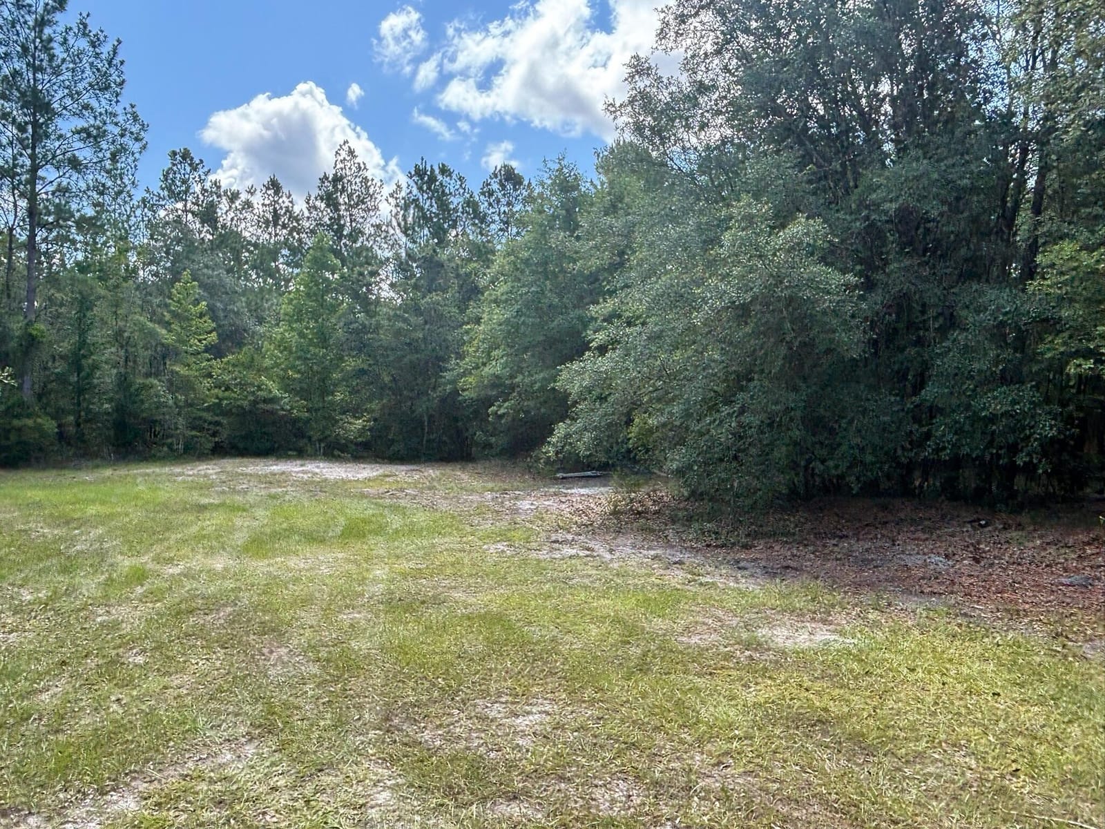 423 NW Bright Lake Court, White Springs, FL 32096 photo 25
