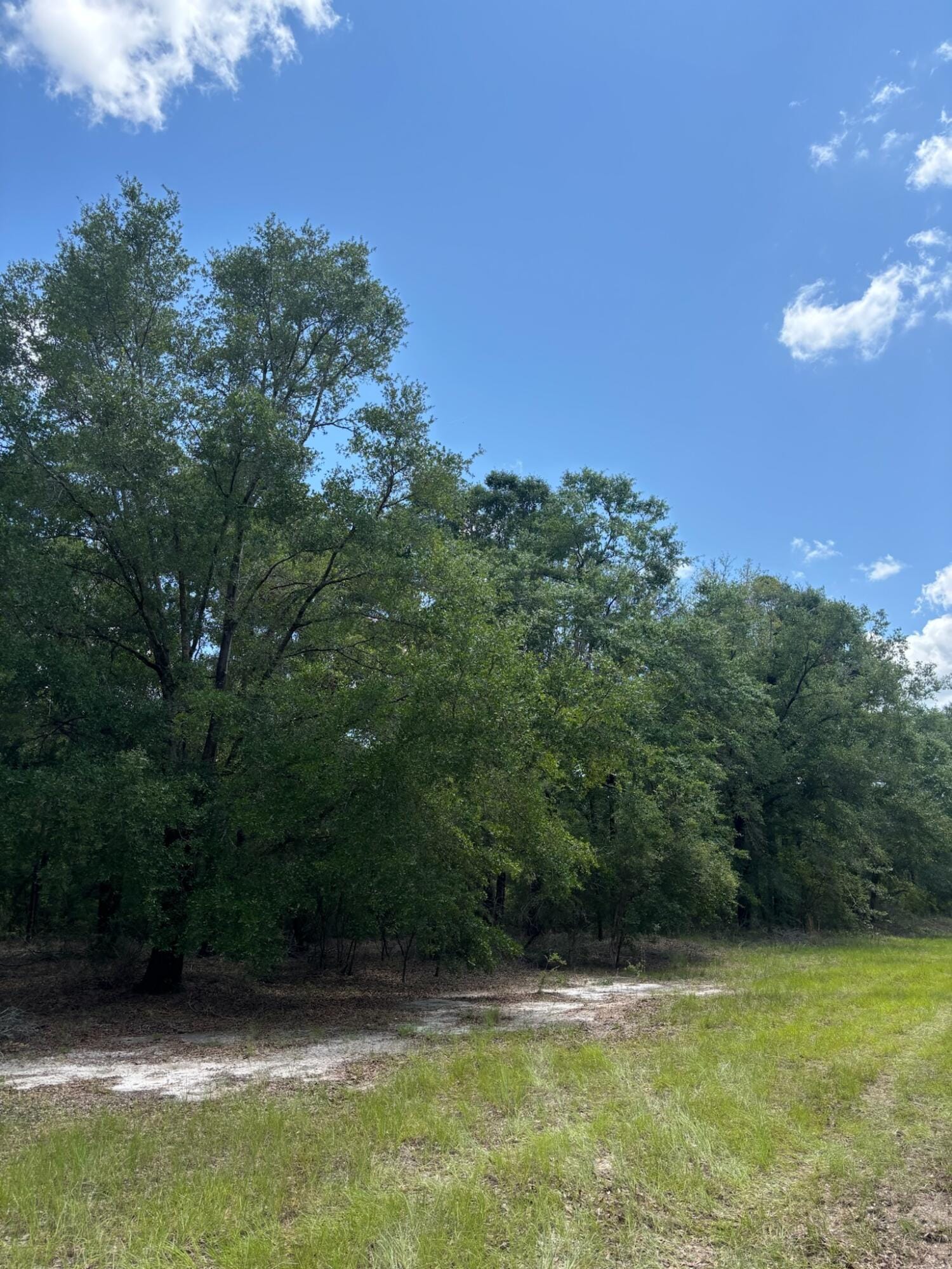 423 NW Bright Lake Court, White Springs, FL 32096 photo 27