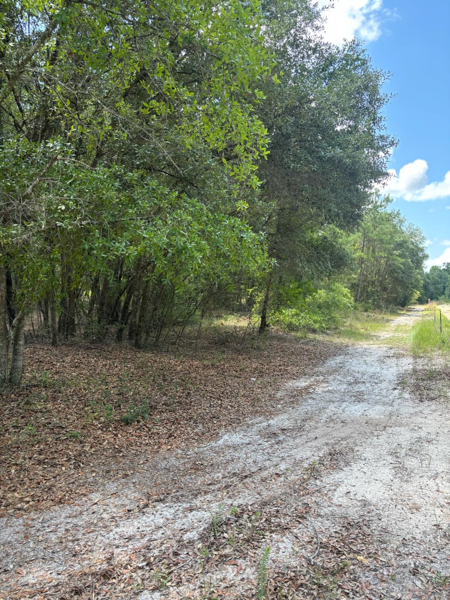 423 NW Bright Lake Court, White Springs, FL 32096 photo 28