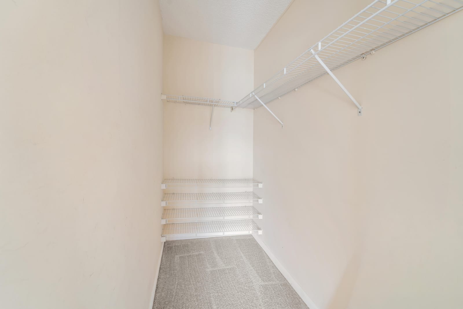 200 Dorset E — photo 10