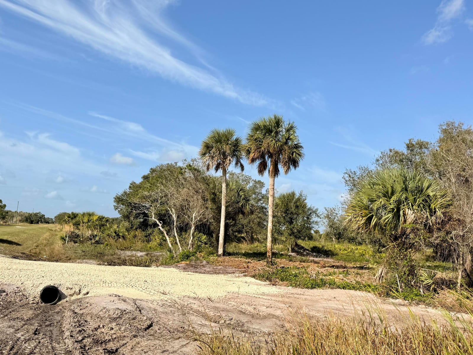 14415 NW 286th Street, Okeechobee, FL 34972 photo 3