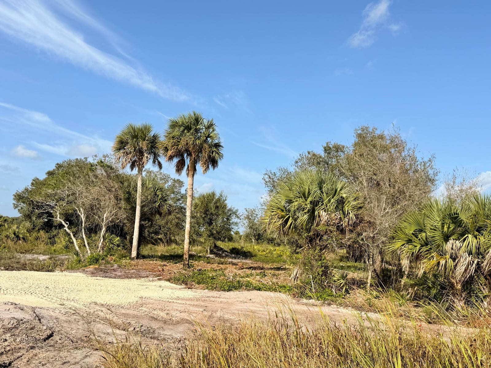 14415 NW 286th Street, Okeechobee, FL 34972 photo 5